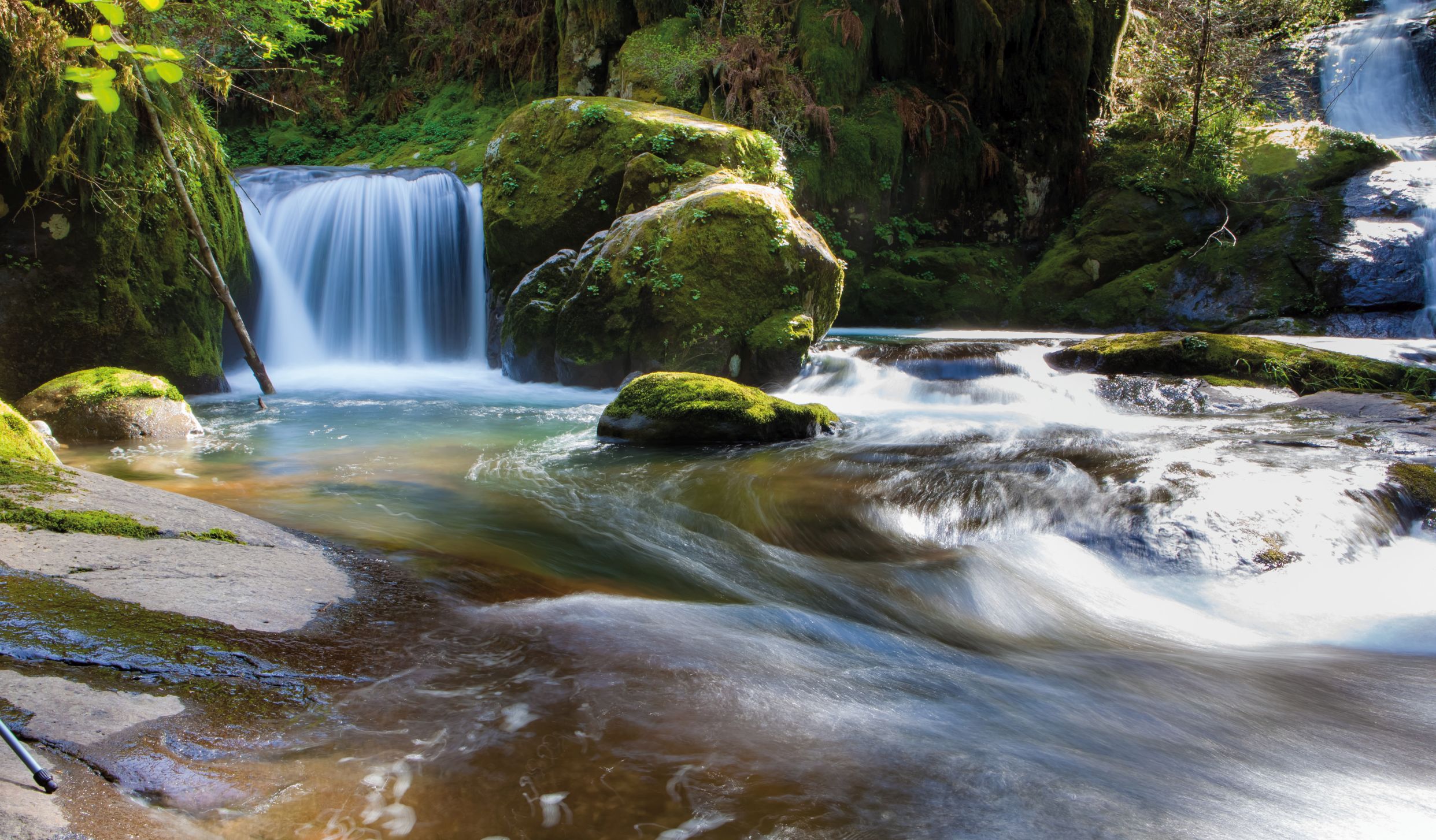 Powershot für das Immunsystem
