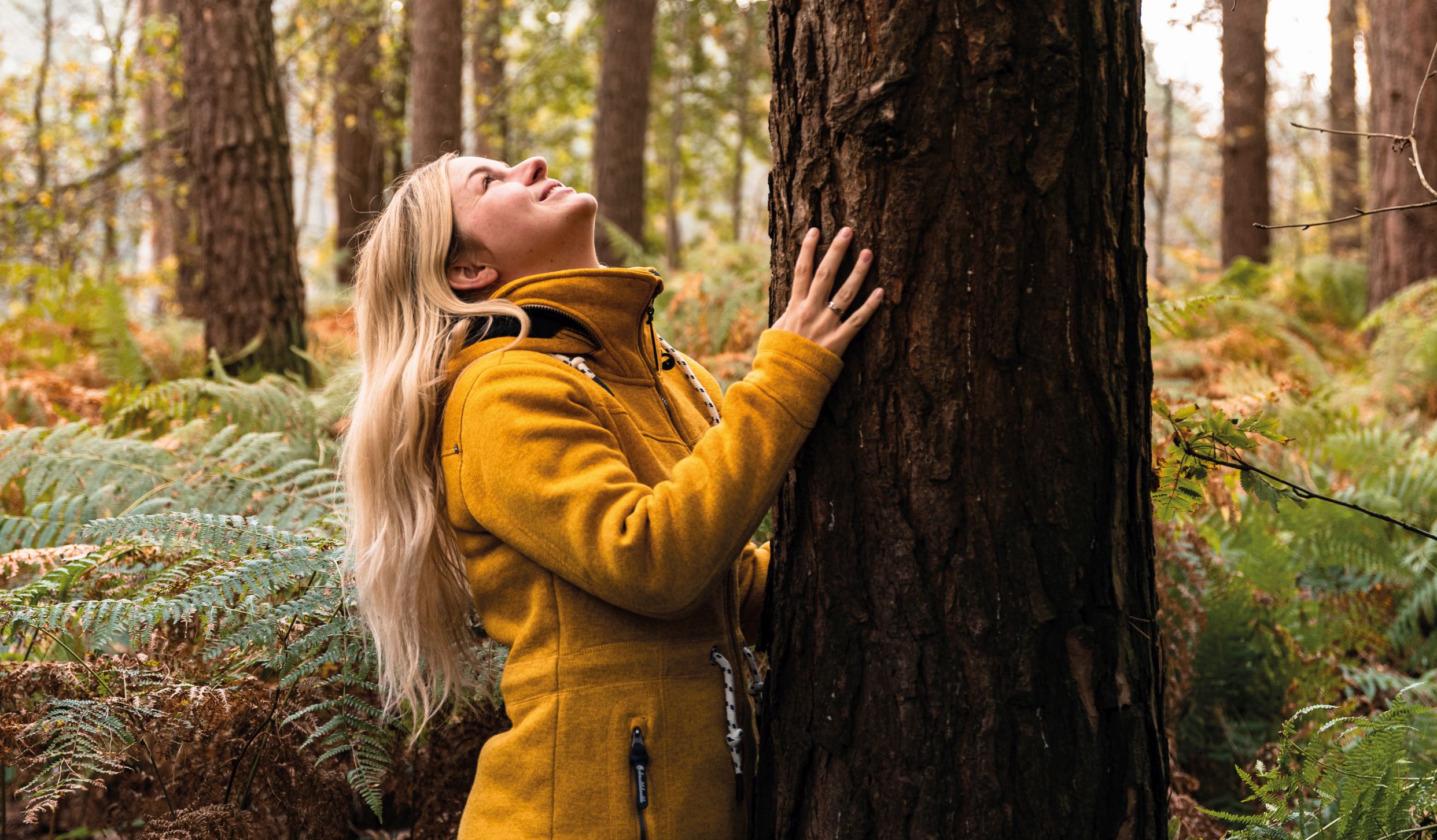 Waldbaden: erfolgreich regenerieren und entspannen