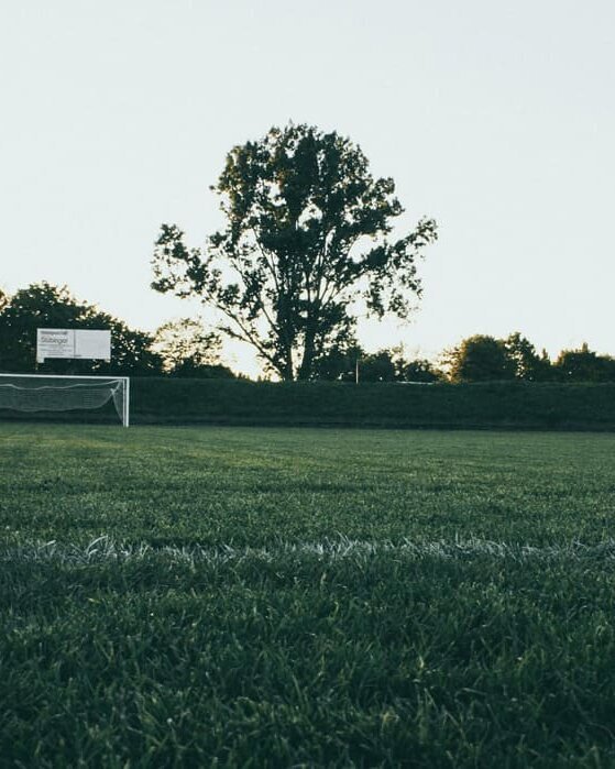 Projekt „Sport verbindet“